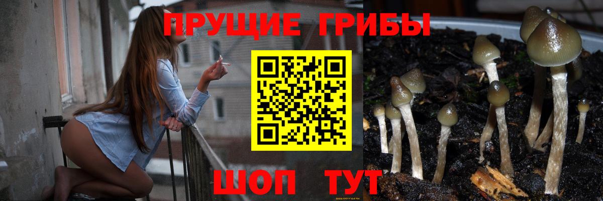 Псилоцибиновые грибы Magic Shrooms Артёмовский